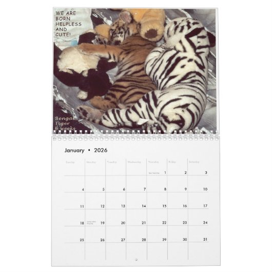 Calendrier Mural Animaux secourus - nous ne sommes pas des animaux (Jan 2026)