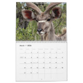 Calendrier Mural Animaux sud-africains (Mar 2026)