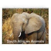 Calendrier Mural Animaux sud-africains (Protection)