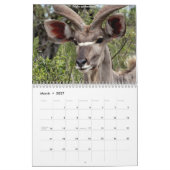 Calendrier Mural Animaux sud-africains (Mar 2027)