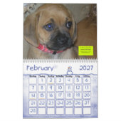 CALENDRIER MURAL ANML-RESQ (Feb 2027)