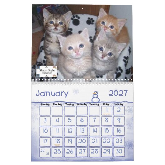 CALENDRIER MURAL ANML-RESQ (Jan 2027)