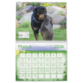 CALENDRIER MURAL ANML-RESQ (Mar 2026)