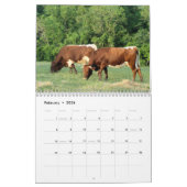 Calendrier Mural Année 2017 de Calendrier-changement de Pinzgauer (Feb 2026)