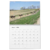 Calendrier Mural Année 2017 de Calendrier-changement de Pinzgauer (Mar 2026)