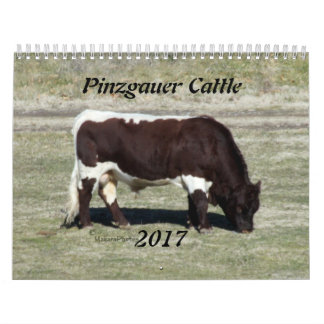 Calendrier Mural Année 2017 de Calendrier-changement de Pinzgauer