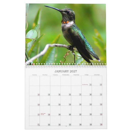 Calendrier Mural Année de colibris 'ronde (Jan 2027)