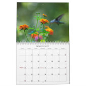 Calendrier Mural Année de colibris 'ronde (Mar 2027)