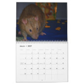 Calendrier Mural Année du rat Calander (Mar 2027)