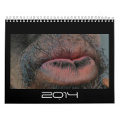 Calendrier Mural Année pendant l'année (Protection)