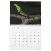Calendrier Mural Anoles 2014 (Mar 2027)