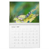 Calendrier Mural Anoles 2014 (Jan 2027)