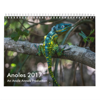 Calendrier Mural Anoles 2017 - Une production d'annales d'Anole