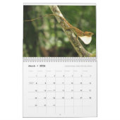 Calendrier Mural Anoles 2017 - Une production d'annales d'Anole (Mar 2026)