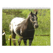 Calendrier Mural Appaloosas 2011 de famille (Protection)