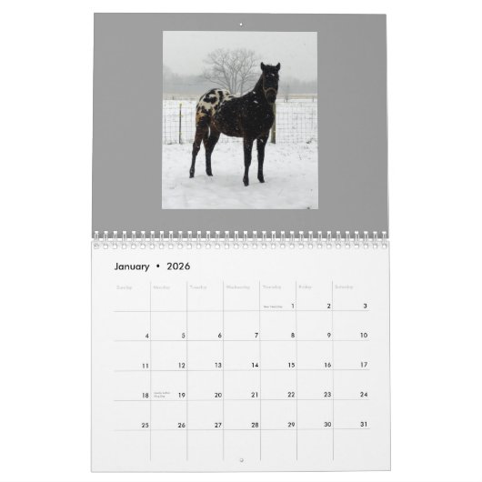 Calendrier Mural Appaloosas 2011 de famille (Jan 2026)