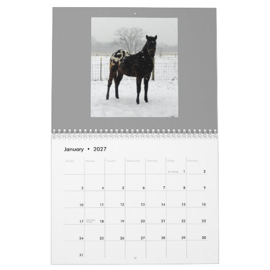 Calendrier Mural Appaloosas 2011 de famille (Jan 2027)