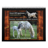 CALENDRIER MURAL APPALOOSAS DE COLLINE DE COUCHER DU SOLEIL (Protection)