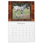 CALENDRIER MURAL APPALOOSAS DE COLLINE DE COUCHER DU SOLEIL (Feb 2026)