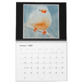 Calendrier Mural Aquarelle Oiseaux 2027 (Jan 2027)