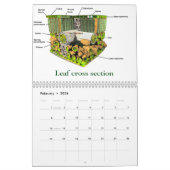 Calendrier Mural Art de la Science #4 (Feb 2026)