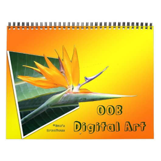 Calendrier Mural Art numérique 3D OOB (Protection)