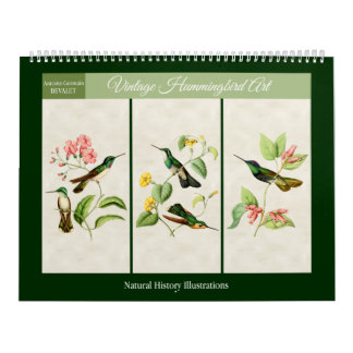 Calendrier Mural Art vintage du colibri 2027