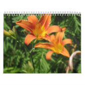 Calendrier Mural artsy (Protection)