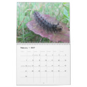 Calendrier Mural artsy (Feb 2027)