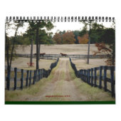 Calendrier Mural augustaimages 2015 (Protection)