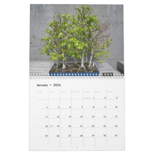 Calendrier mural avec Bonsai (Jan 2026)