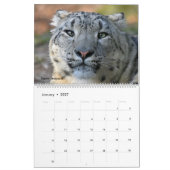 Calendrier mural avec des photos des chats (Jan 2027)