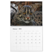 Calendrier mural avec des photos des chats (Feb 2026)