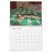 Calendrier Mural Baja/Hercule (Feb 2026)