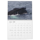 Calendrier Mural Baleines de bosse de banque de Stelwagen (Mar 2027)