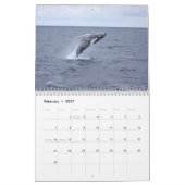 Calendrier Mural Baleines de bosse de banque de Stelwagen (Feb 2027)