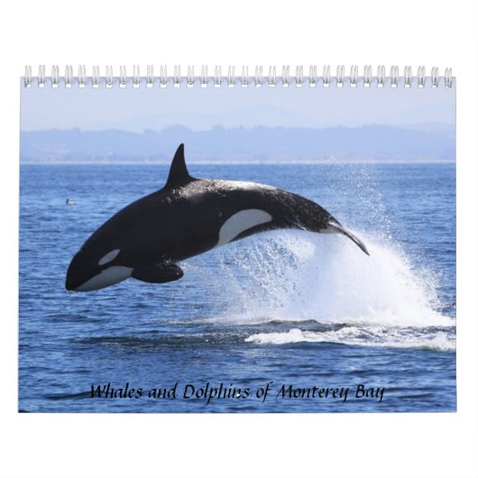 Calendrier Mural Baleines et dauphins de Monterey Bay (Protection)