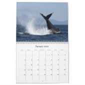 Calendrier Mural Baleines et dauphins de Monterey Bay (Jan 2026)