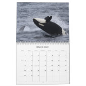 Calendrier Mural Baleines et dauphins de Monterey Bay (Mar 2026)