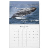 Calendrier Mural Baleines et dauphins de Monterey Bay (Feb 2026)