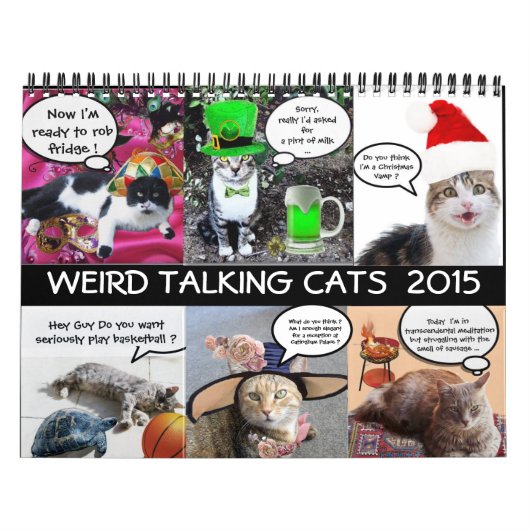 CALENDRIER MURAL BANDE-BANDE AMUSANTE DE CATS DE DISCUSSION WEIRD 2 (Protection)