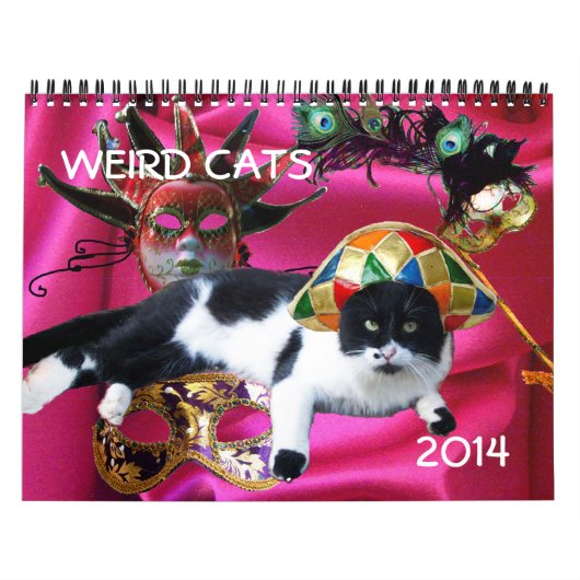 CALENDRIER MURAL BANDE-BANDE AMUSANTE DE CATS DE DISCUSSION WEIRD 2 (Protection)