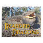 Calendrier mural barbu de dragons (Protection)