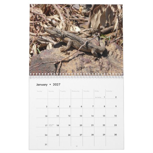 Calendrier mural barbu de dragons (Jan 2027)