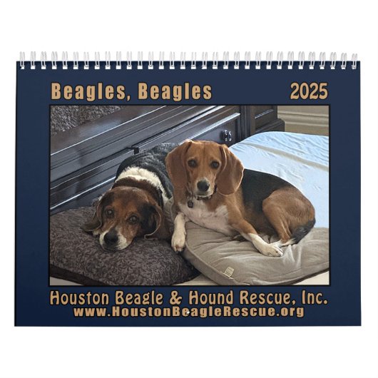 Calendrier mural beagle 2025 (Protection)
