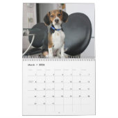 Calendrier Mural Beagle Calander (Mar 2026)