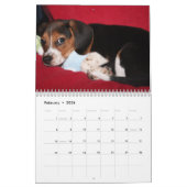Calendrier Mural Beagle Calander (Feb 2026)