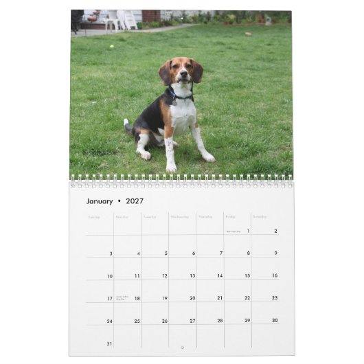Calendrier Mural Beagle Calander (Jan 2027)