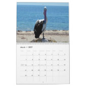 Calendrier Mural Beauté Des Pélicans 2021, (Mar 2027)