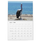 Calendrier Mural Beauté Des Pélicans Australien 2019, (Mar 2026)